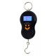 bascula gancho 50 kilos